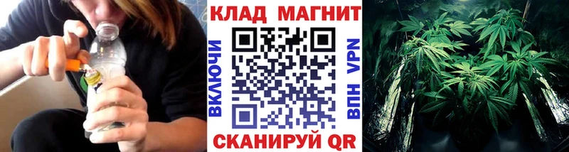 Где купить наркотики Данков Бутират  Кокаин  Меф мяу мяу  Конопля  Галлюциногенные грибы 