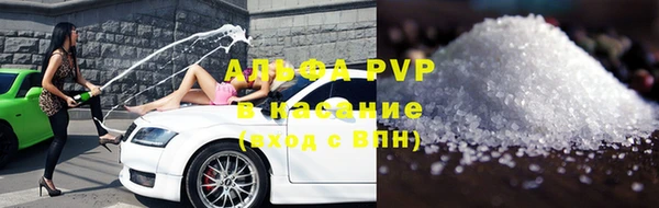 индика Алзамай