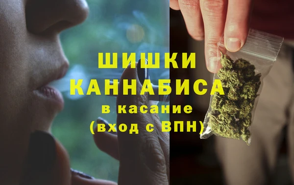 индика Алзамай