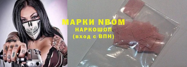 индика Алзамай