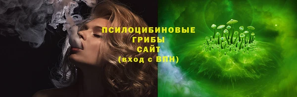 индика Алзамай