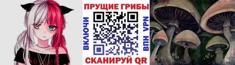 Галлюциногенные грибы Psilocybe shop клад Данков