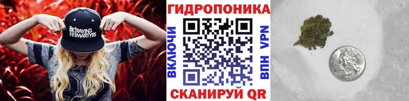 МАРИХУАНА индика где купить наркоту Данков